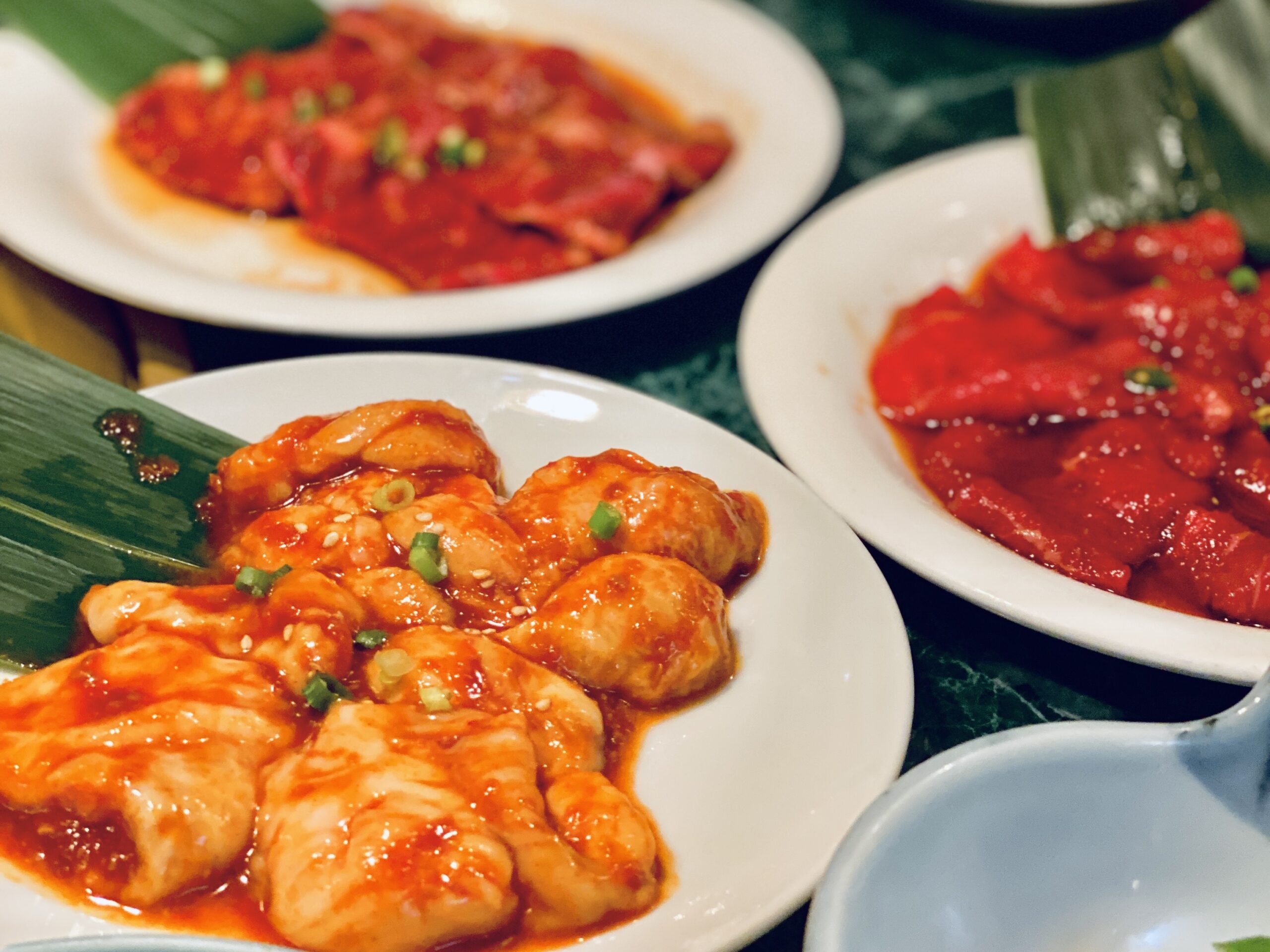 溝の口 焼肉苑 雰囲気 味 コストすべて納得 これぞ求めてた街焼肉 麻布十番の名店を溝の口で堪能 三茶散歩